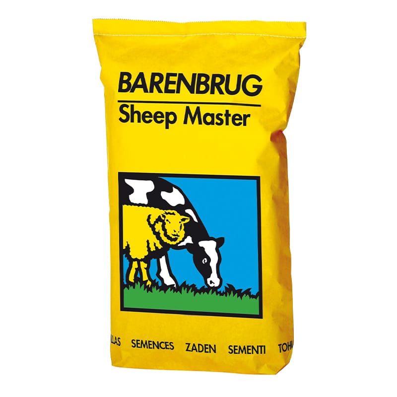 barenbrug-sheep-master-1