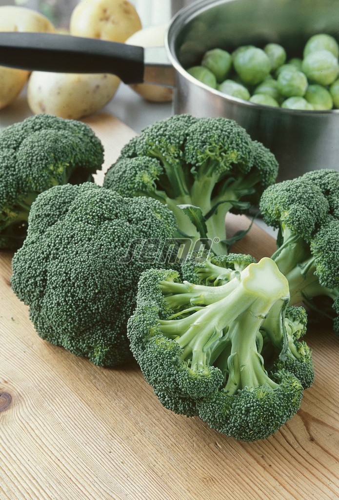 0219-semo-zelenina-brokolice-atlantis2