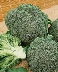 0224-semo-zelenina-brokolice-lucky2
