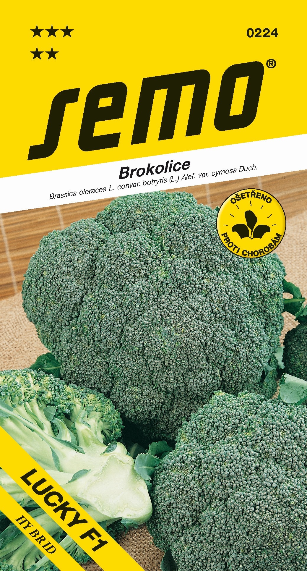 0224_brokolice-LUCKY-F1-2