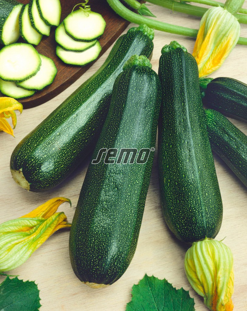 0602-semo-zelenina-tykev-cuketa-jigonal2