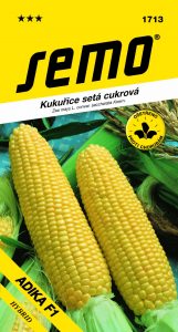 1713_kukuřice-ADIKA-F1-1