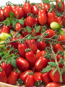 3272-semo-zelenina-rajce-tyckove-valdo2-2