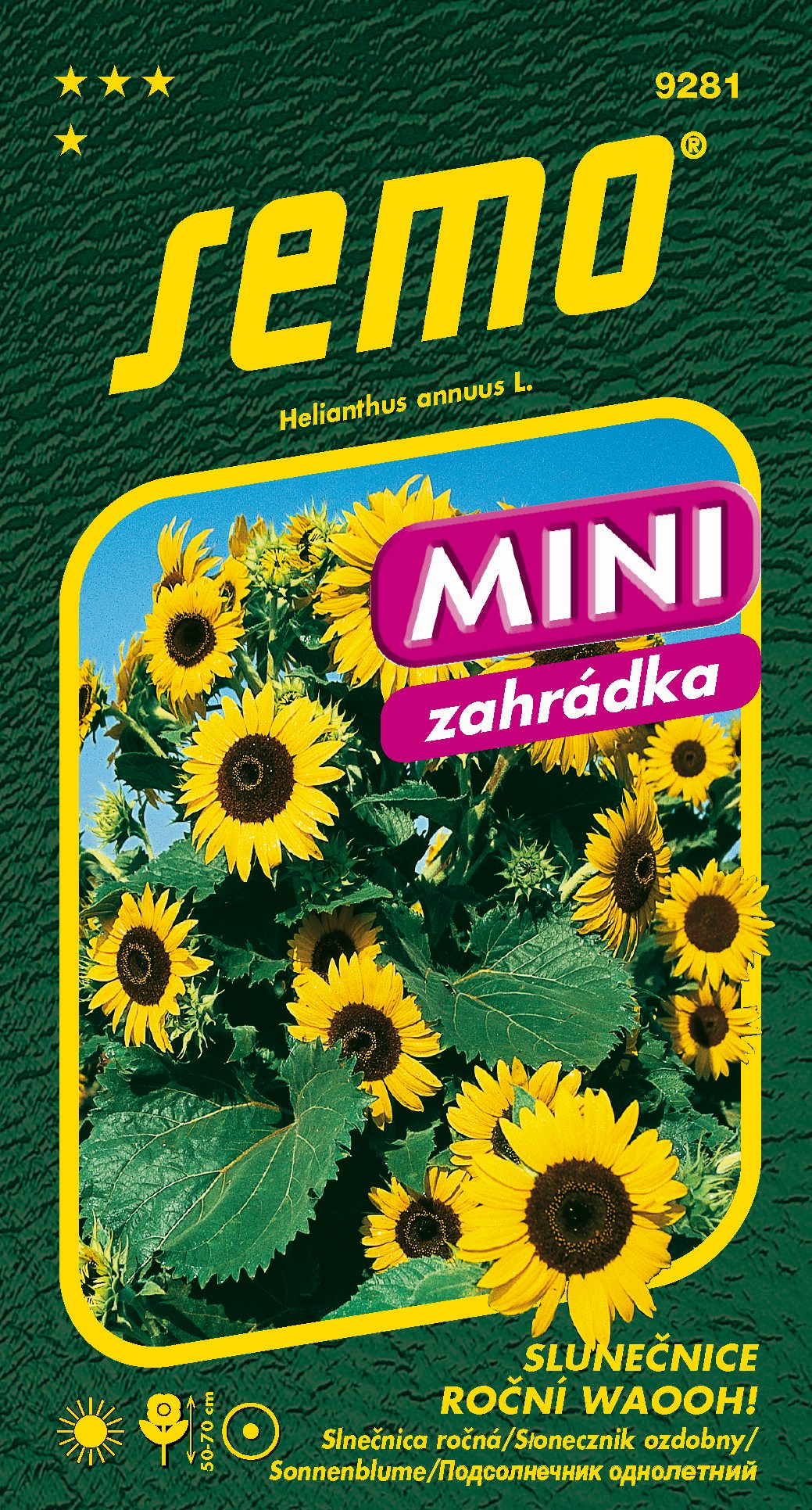 9281_slunečnice-WAOOH_MINI-2