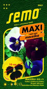 9681_maceška-XXL-F1_MAXI-2