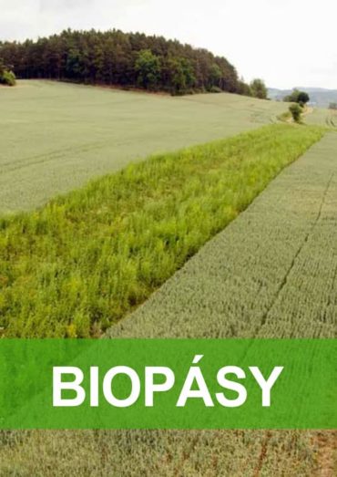 biopasy-pdf